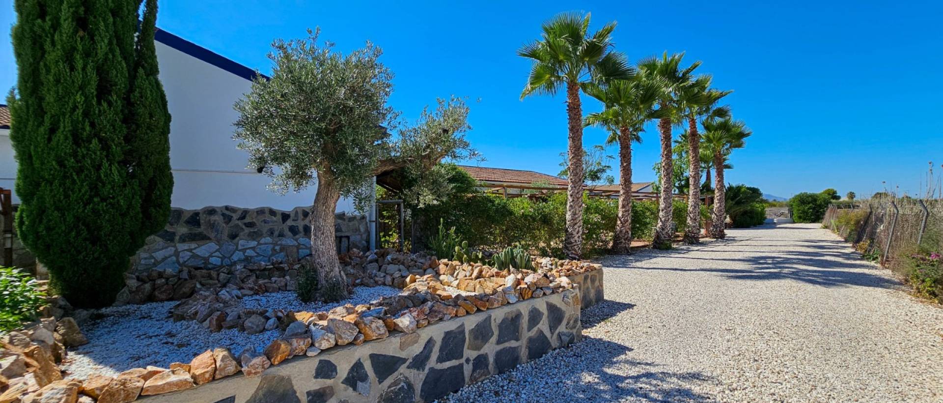 Reventa - Finca / Casa de Campo - Catral