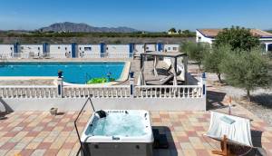Reventa - Finca / Casa de Campo - Catral