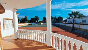 Reventa - Finca / Casa de Campo - Catral