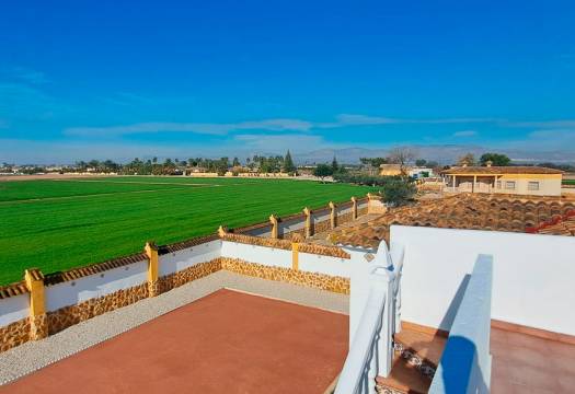 Reventa - Finca / Casa de Campo - Catral
