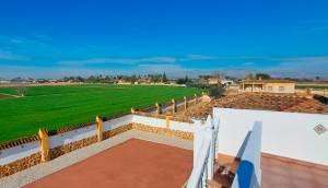 Reventa - Finca / Casa de Campo - Catral
