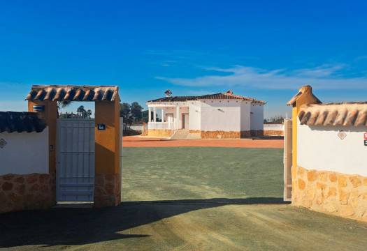 Reventa - Finca / Casa de Campo - Catral