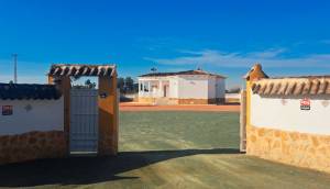 Reventa - Finca / Casa de Campo - Catral