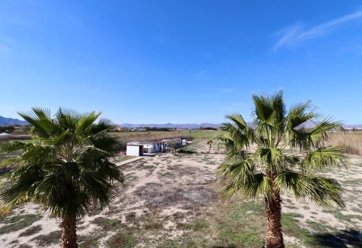 Resale - Finca / Country Property - Catral