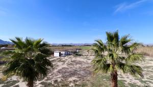 Resale - Finca / Country Property - Catral