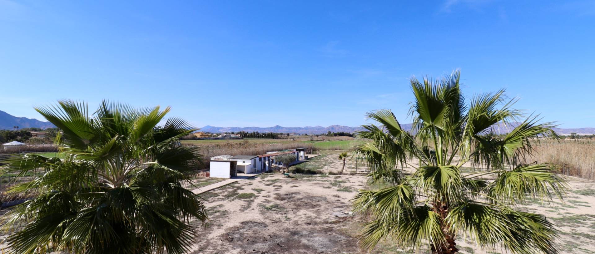 Resale - Finca / Country Property - Catral