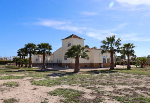 Resale - Finca / Country Property - Catral