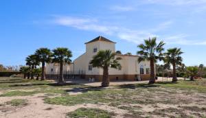 Resale - Finca / Country Property - Catral