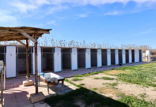 Resale - Finca / Country Property - Catral