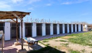 Resale - Finca / Country Property - Catral
