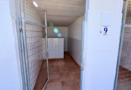 Resale - Finca / Country Property - Catral