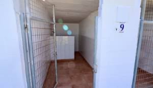 Resale - Finca / Country Property - Catral