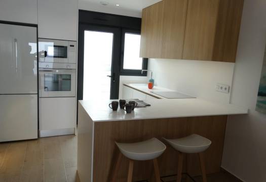 New - Townhouse - Pilar de la Horadada - pueblo