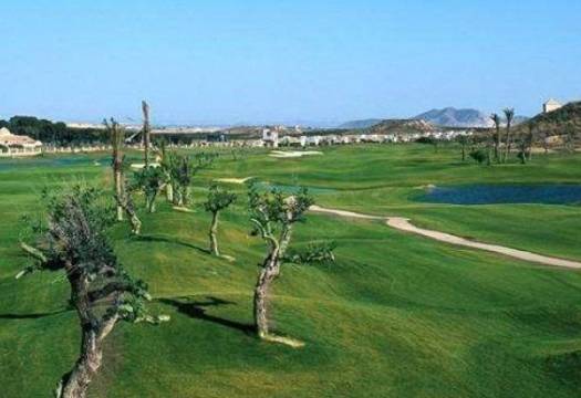 Obra Nueva - Villa / Chalet - Sucina - Peraleja Golf