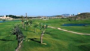 Obra Nueva - Villa / Chalet - Sucina - Peraleja Golf