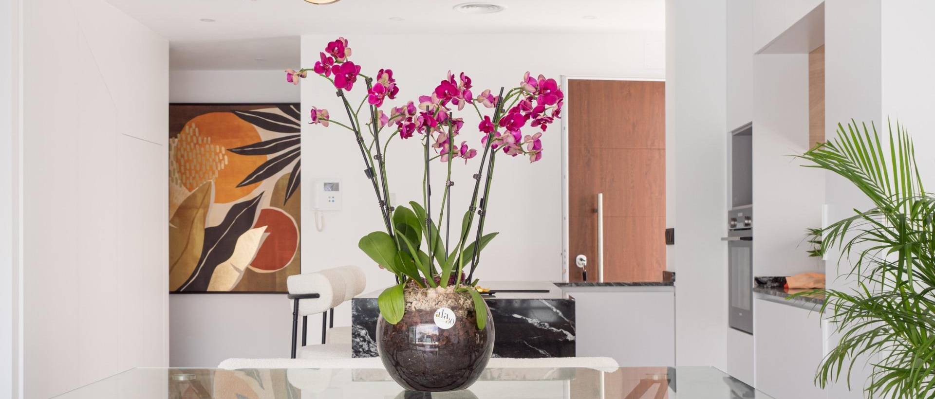 New - Villa - San Pedro del Pinatar - San Pedro de Pinatar