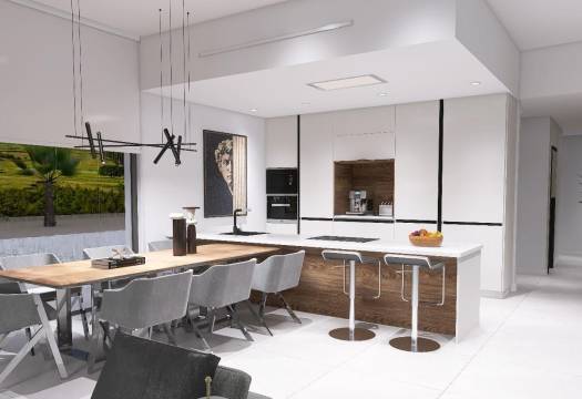 New - Villa - Aspe - Poligono 19