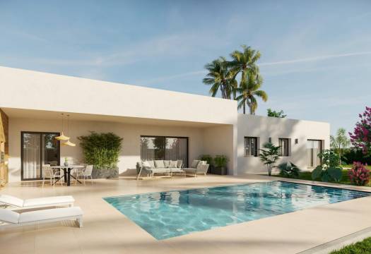 New - Villa - Aspe - Poligono 19