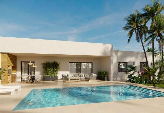 New - Villa - Aspe - Poligono 19