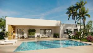 New - Villa - Aspe - Poligono 19