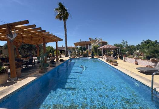 Resale - Finca / Country Property - Catral