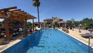 Resale - Finca / Country Property - Catral