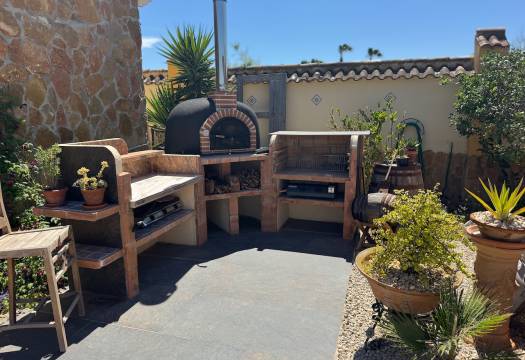Resale - Finca / Country Property - Catral