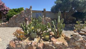 Resale - Finca / Country Property - Catral