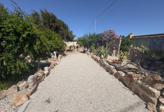 Resale - Finca / Country Property - Catral