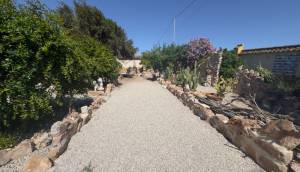 Resale - Finca / Country Property - Catral