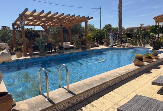 Resale - Finca / Country Property - Catral