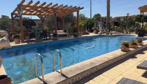 Resale - Finca / Country Property - Catral
