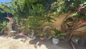 Resale - Finca / Country Property - Catral