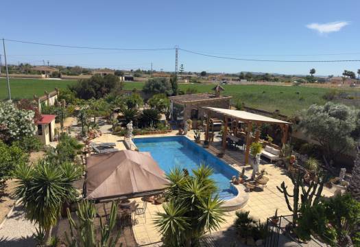 Resale - Finca / Country Property - Catral