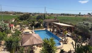 Resale - Finca / Country Property - Catral
