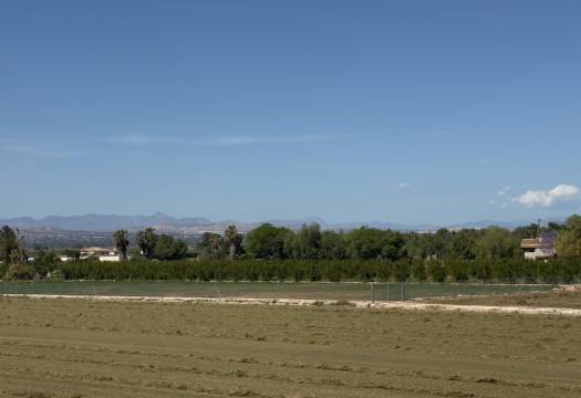 Resale - Finca / Country Property - Catral