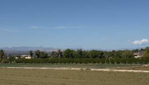 Resale - Finca / Country Property - Catral
