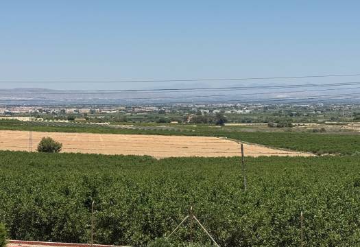 Resale - Villa - Algorfa - Lomas De La Juliana