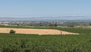Resale - Villa - Algorfa - Lomas De La Juliana