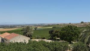Resale - Villa - Algorfa - Lomas De La Juliana