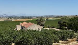 Resale - Villa - Algorfa - Lomas De La Juliana