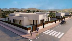 New - Quad - Bigastro - Loma Alta