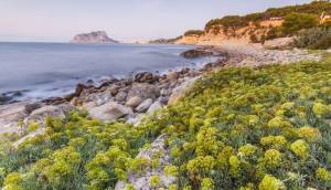 New - Villa - Benissa - Benisa