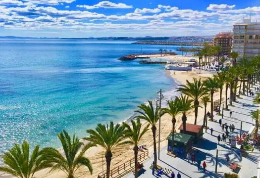 New - Apartment - Torrevieja