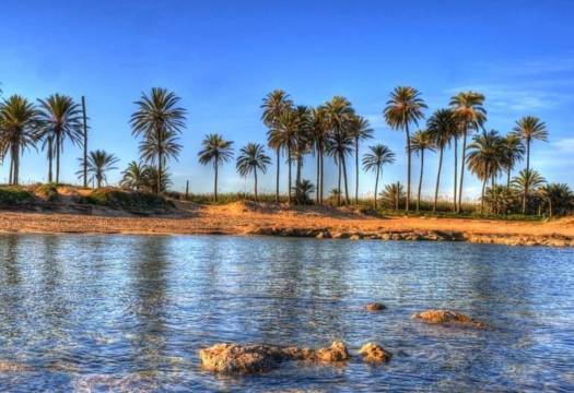 New - Apartment - Torrevieja