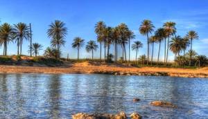 New - Apartment - Torrevieja