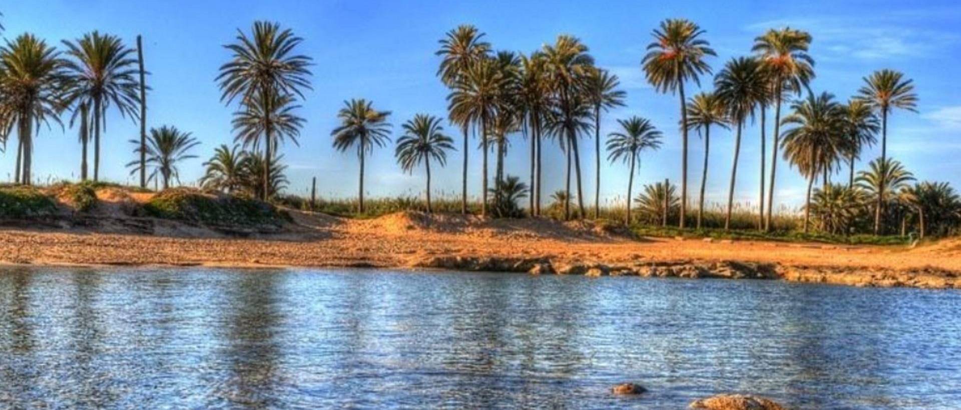 New - Apartment - Torrevieja
