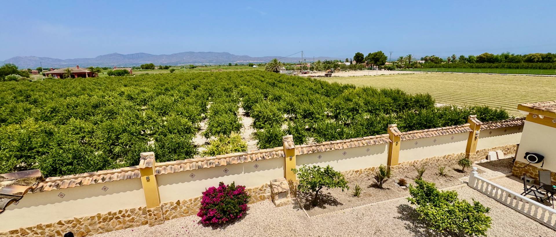 Reventa - Finca / Casa de Campo - Catral