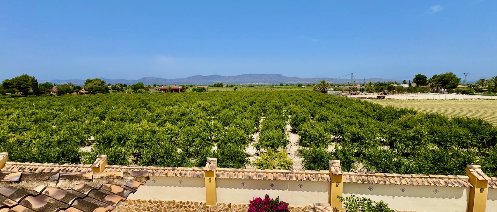 Reventa - Finca / Casa de Campo - Catral