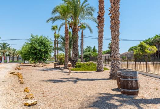 Resale - Finca / Country Property - Catral